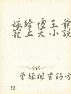 嫁给傻王爷后被宠上天小说阅读封面