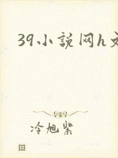 39小说网h文