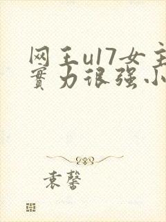 网王u17女主实力很强小说