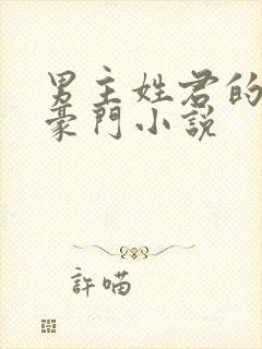 男主姓君的现代豪门小说