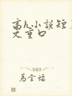 高h小说短篇辣文重口