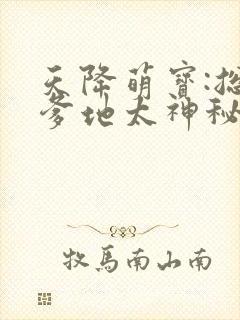 天降萌宝:总裁爹地太神秘封面