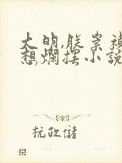 大明,朕崇祯只想烂摆小说封面