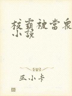 校霸被当众体罚小说