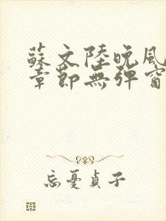 苏文陆晚风最新章节无弹窗笔趣阁