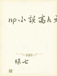 np小说高h文
