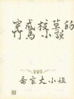 穿成校草的炮灰竹马 小说