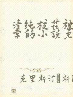 清纯校花被擒日常的小说免费阅读苏封面