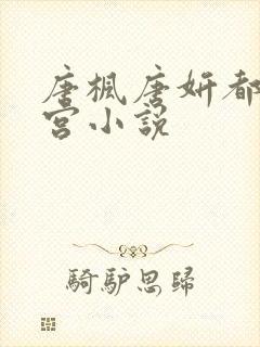 唐枫唐妍都市后宫小说封面