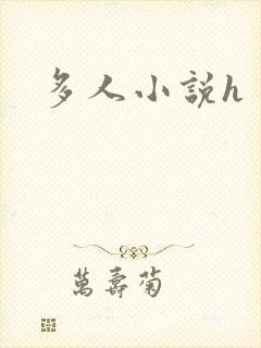 多人小说h