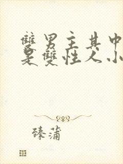 双男主其中一个是双性人小说