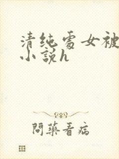 清纯处女被破处小说h