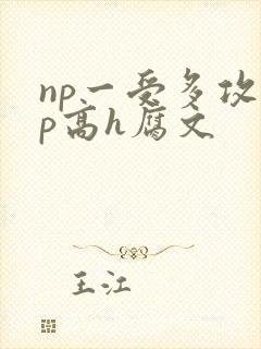 np一受多攻np高h腐文