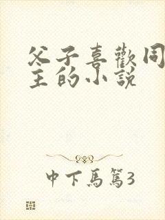 父子喜欢同一女主的小说