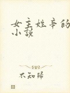 女主姓辛的现代小说