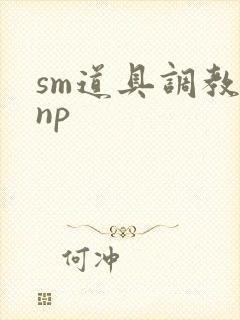 sm道具调教文np