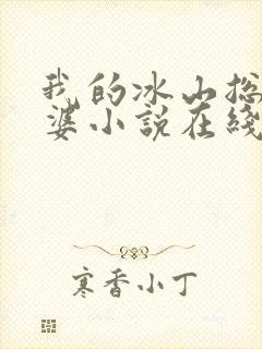 我的冰山总裁老婆小说在线阅读