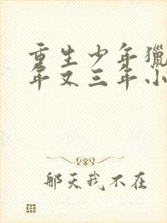 重生少年猎美三年又三年小说免费阅读下载封面