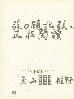 苏o顾北弦小说正版阅读