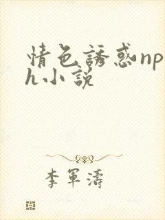 情色诱惑np高h小说