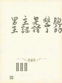 男主是双胞胎女主认错了的小说封面