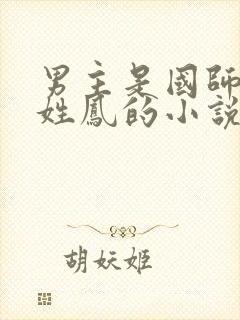 男主是国师女主姓凤的小说封面