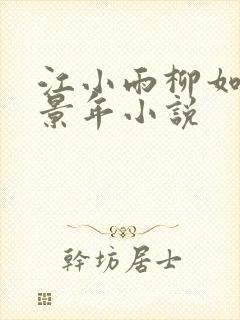 江小雨柳如烟陆景年小说