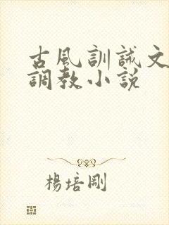 古风训诫文女尊调教小说封面