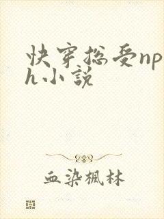 快穿总受np高h小说