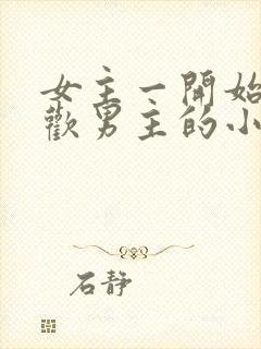 女主一开始不喜欢男主的小说