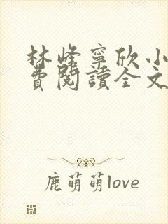 林峰宁欣小说免费阅读全文最新章节笔趣阁