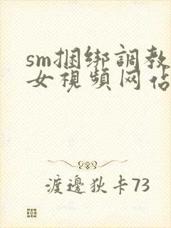sm捆绑调教美女视频网站