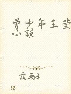 曾少年王莹同人小说