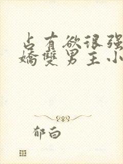 占有欲很强的病娇双男主小说封面