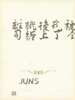 离职后我被前上司缠上了 全文