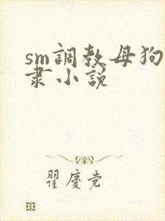sm调教母狗奴隶小说封面