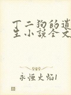 丁二狗的逍遥人生小说全文无删减下载封面