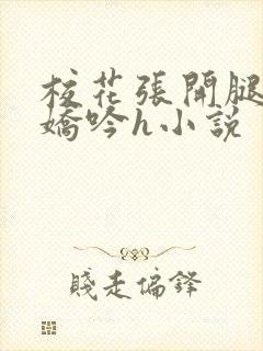 校花张开腿疯狂娇吟h小说封面