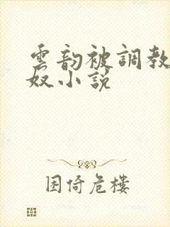 云韵被调教成肉奴小说