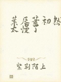 叶辰萧初然更新太慢了封面