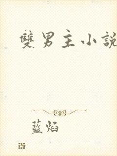 双男主小说调教封面