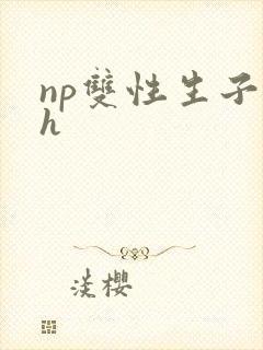 np双性生子高h