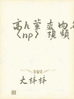 高h荤爽肉欲文〈np〉视频