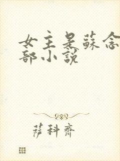 女主是苏念的全部小说