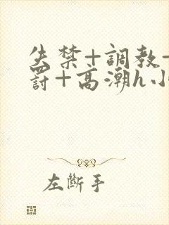 失禁+调教+惩罚+高潮h小说封面