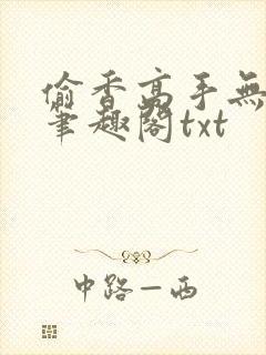 偷香高手无删减笔趣阁txt封面