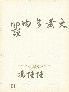 np肉多黄文小说