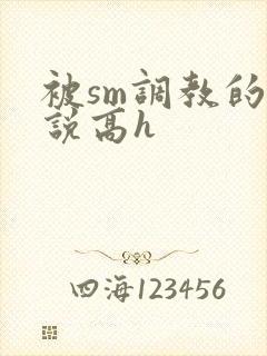 被sm调教的小说高h