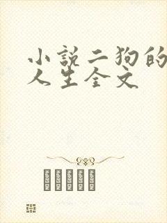 小说二狗的风流人生全文