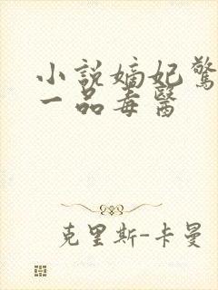 小说嫡妃惊华:一品毒医